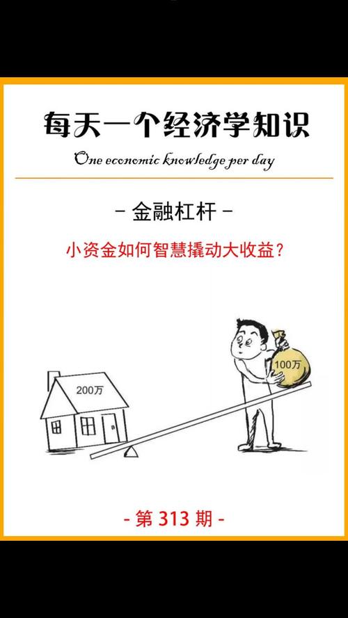 金融杠杆风险_炒股杠杆_高杠杆投资危害