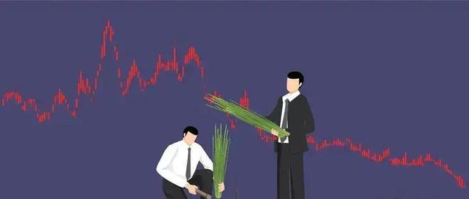 股票投资知识常识胆识_股票入门知识_小资金股市投资策略