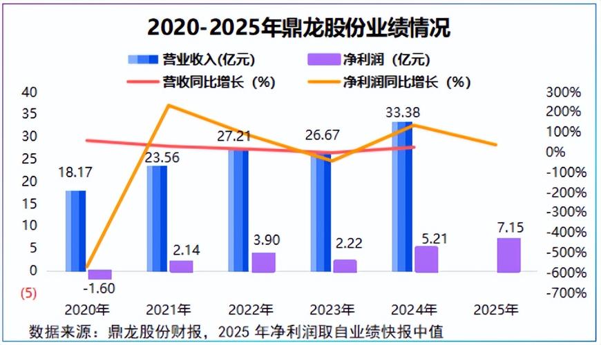 鼎龙股份拟发可转债扩产，再融资项目质检引关注