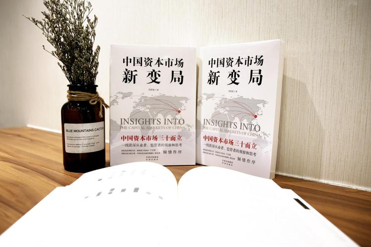 鼎盛证券：中国资本市场三十而立还不成熟？